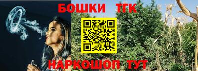 сатива Аргун