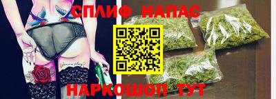 сатива Аргун