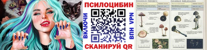 Купить закладки  Новоалександровск  Галлюциногенные грибы Cubensis 