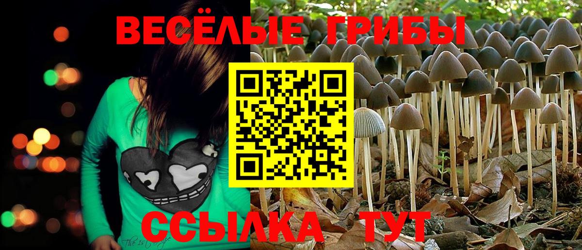 Псилоцибиновые грибы Magic Shrooms Новоалександровск