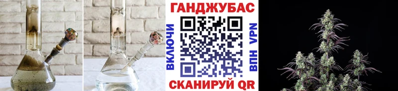 Купить где  Новоалександровск  Конопля Bruce Banner 